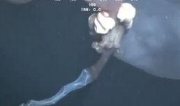 深海幕后爆料视频大全下载,视频大全下载背后的故事